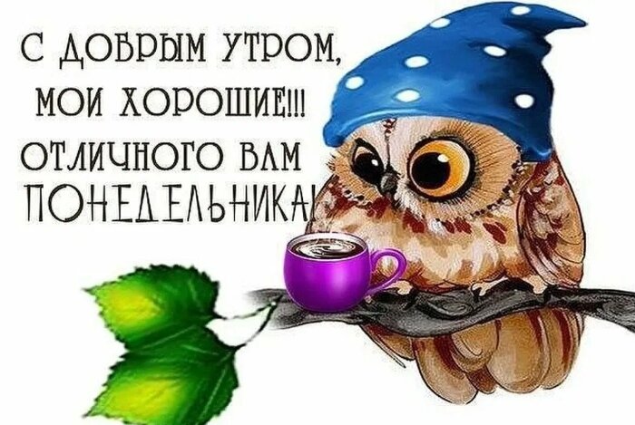 Источник Яндекс картинки