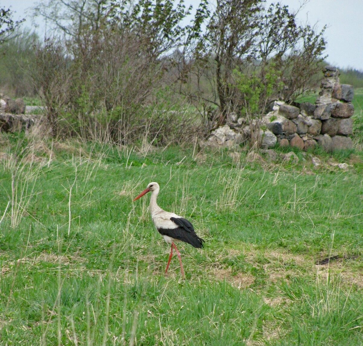 Окрестности озера Донцо. 