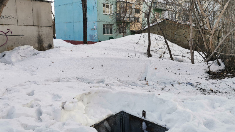     Погребная яма, куда упала собака Барнаул 22