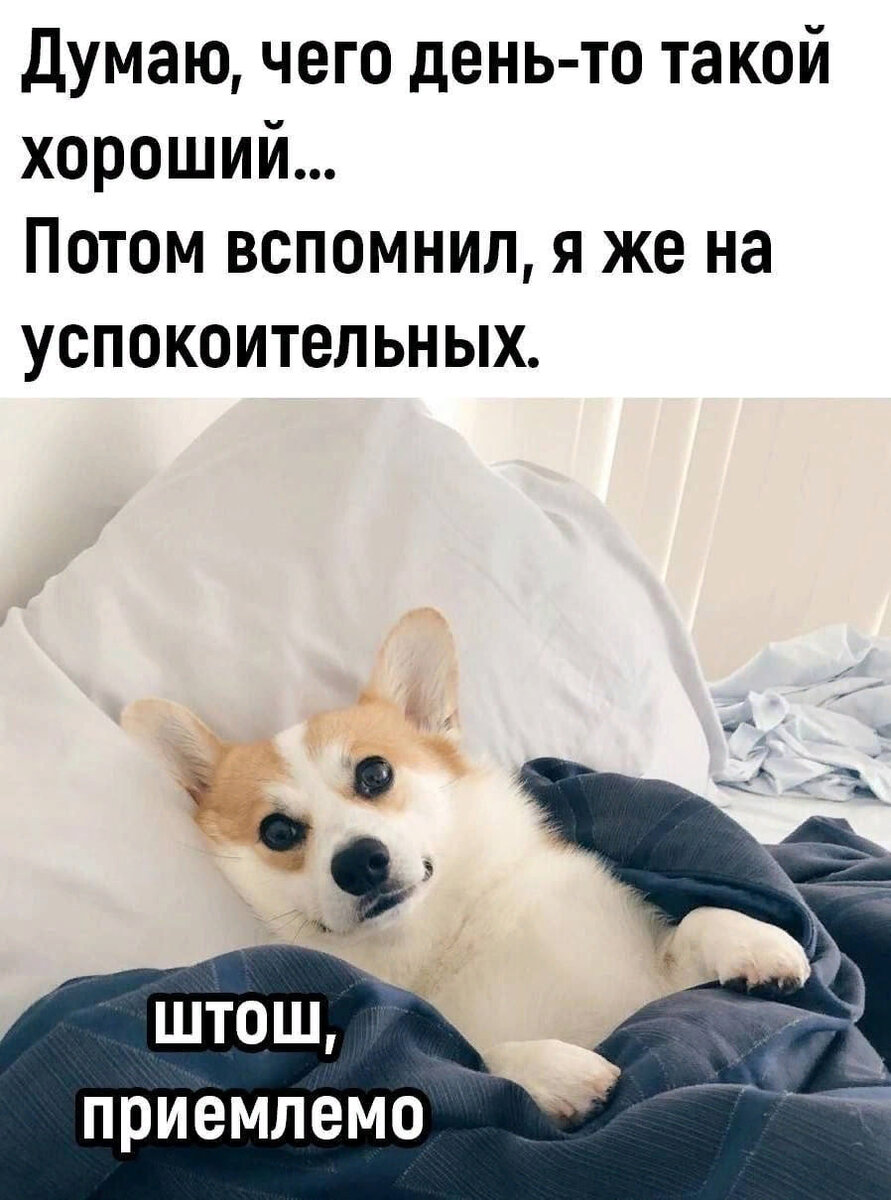 Такой которым хорошо приятно пользоваться. Популярные мемы. Успокоительное смешные картинки. Рисунки для поднятия настроения. Прикольные картинки для поднятия настроения.