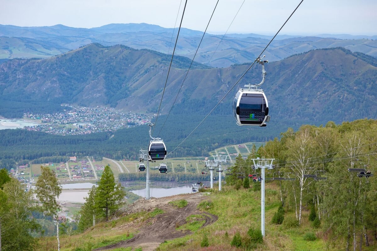 Манжерок летом