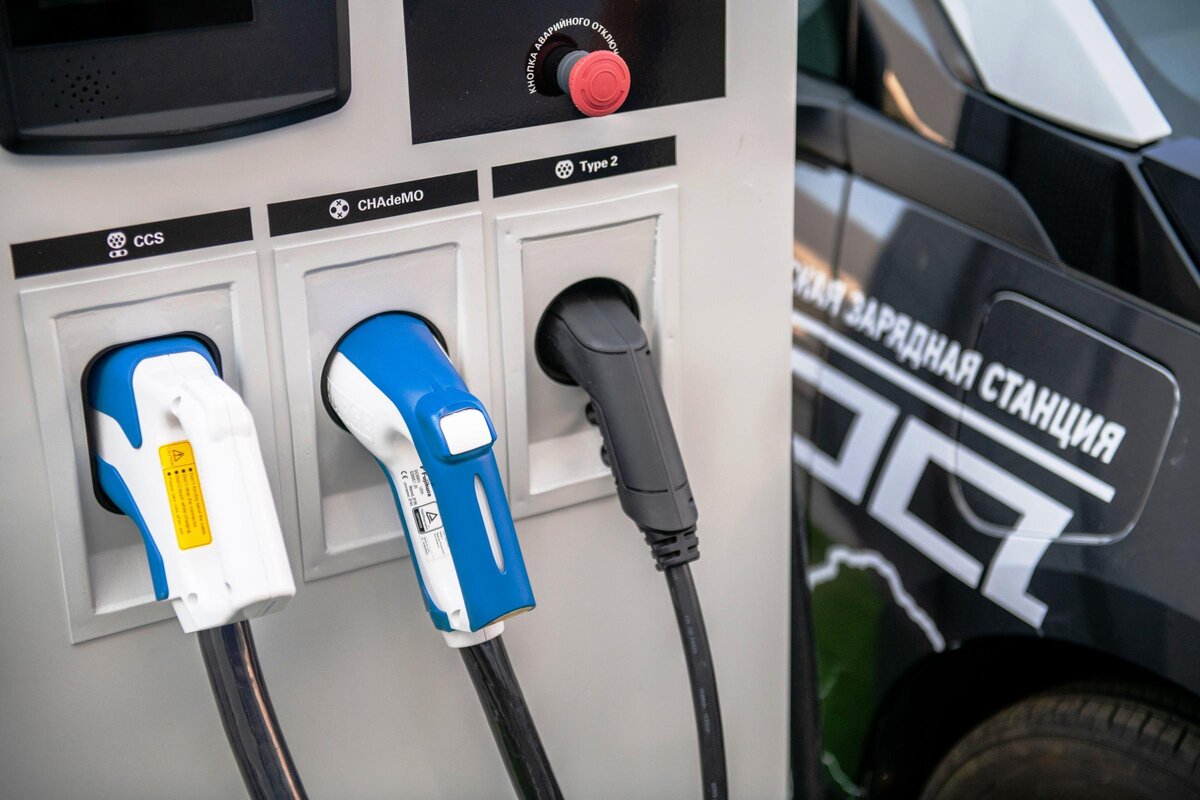      Фото: Александр Уткин