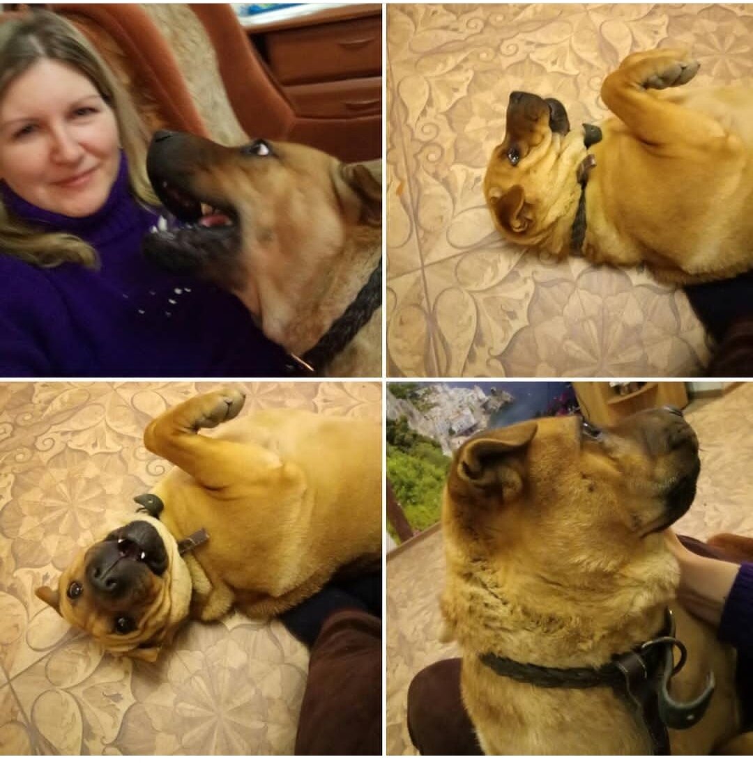 Фото из архива автора. 24 января 2017 г. 