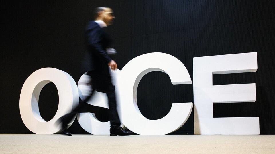     ОБСЕ – враждебная России НКО Global Look Press/Thomas Trutschel/photothek.net