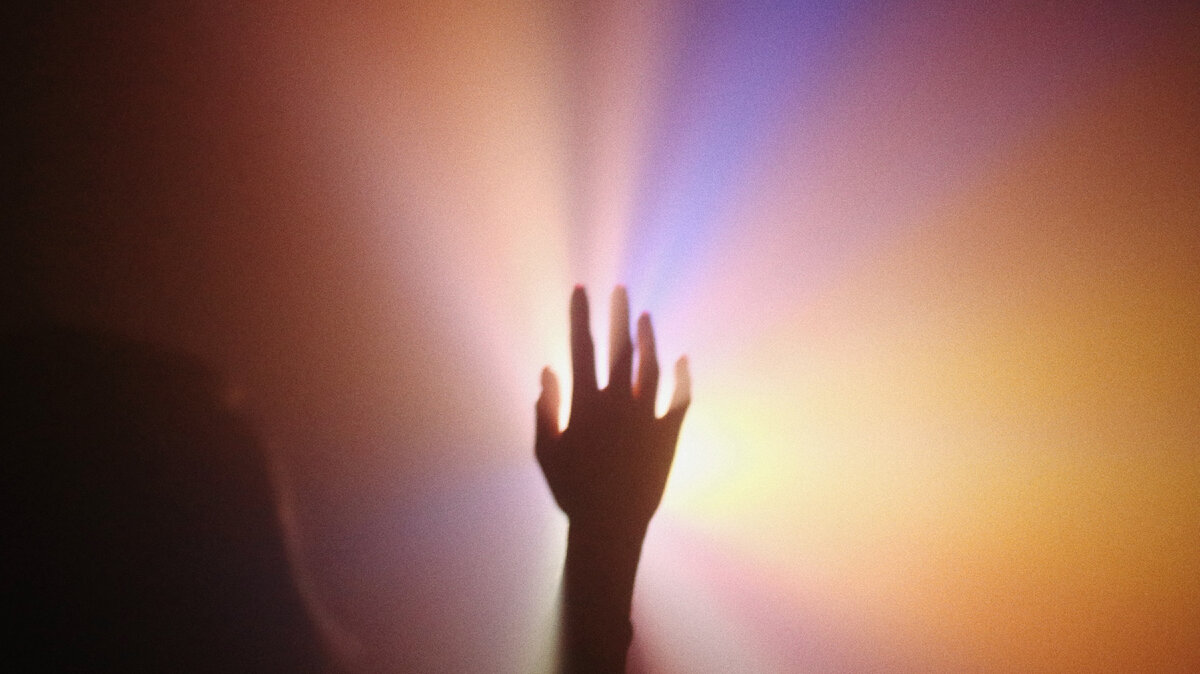 Фото: Unsplash