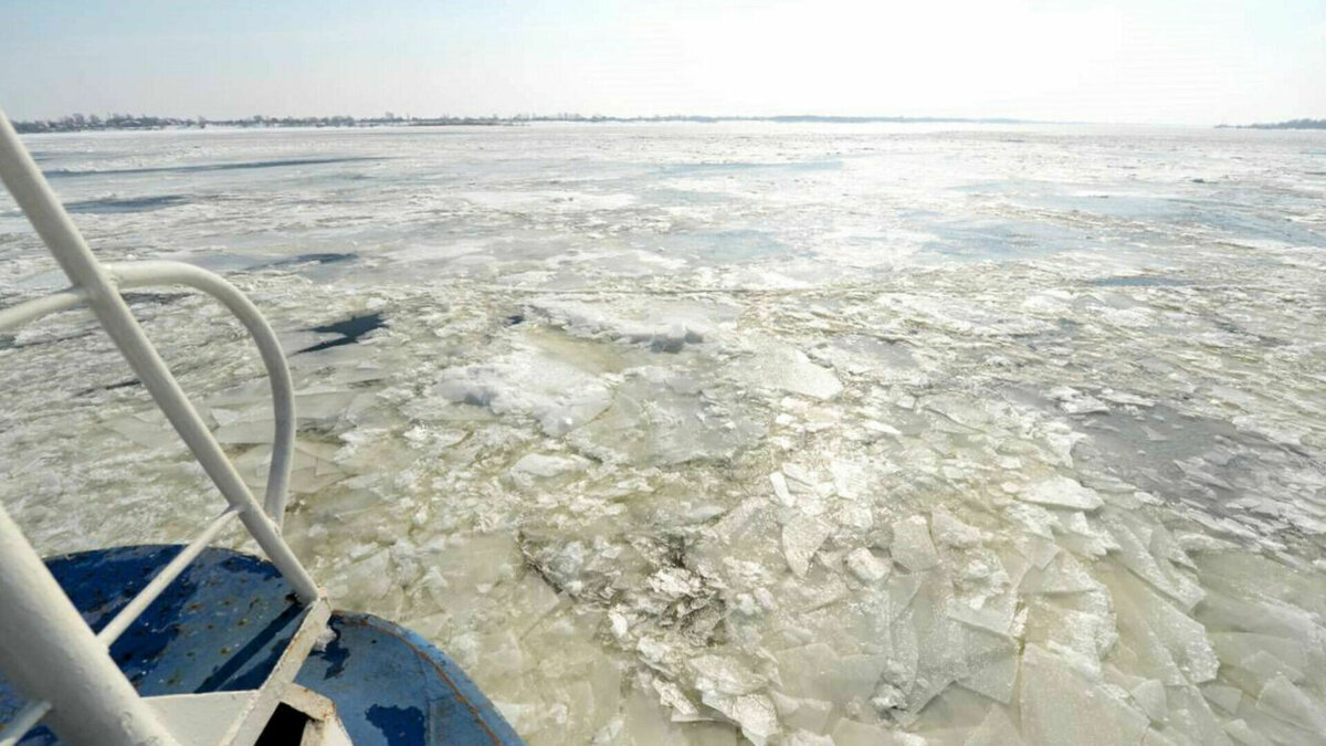     В Волгоградской области поднялся уровень воды в реке Иловля. Всего за сутки он вырос практически на 30 сантиметров. Об этом в четверг в гидрологическом обзоре предупредил Гидрометцентр России.