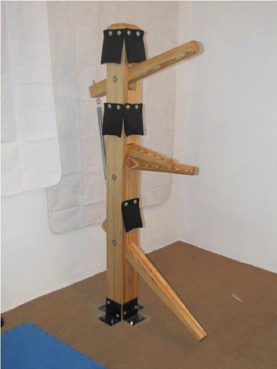 манекен чой ли фут 