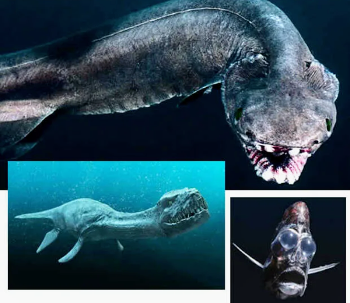 Фото из интернета 