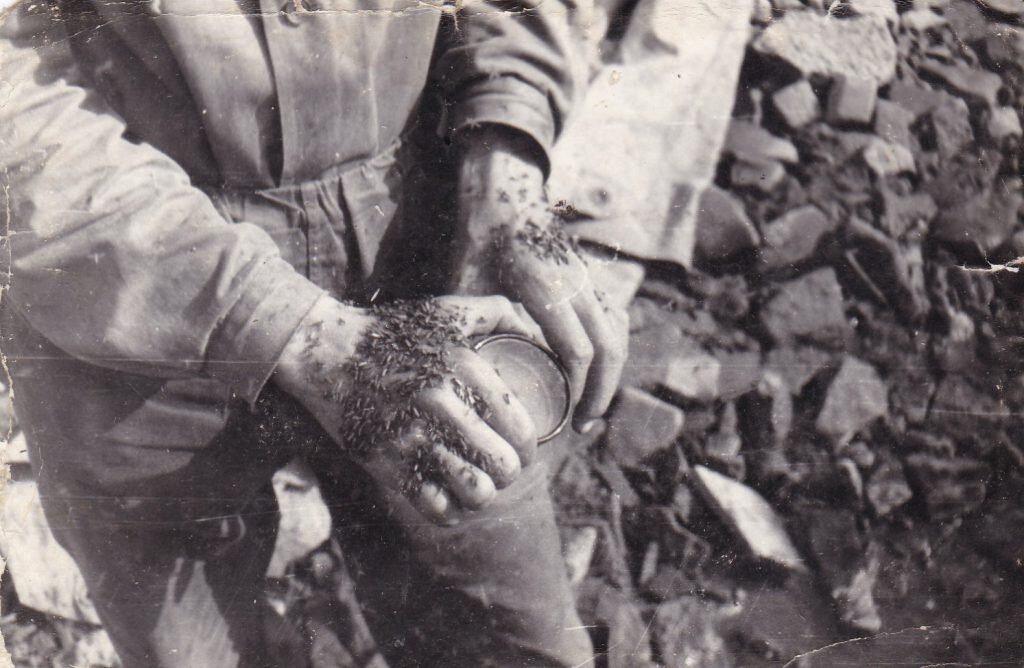 Это фотографии, сделанные Олегом Свиридовом, одним из "амакинцев" в тайге. Именно так выглядит человек, который оказался в таежном лесу.