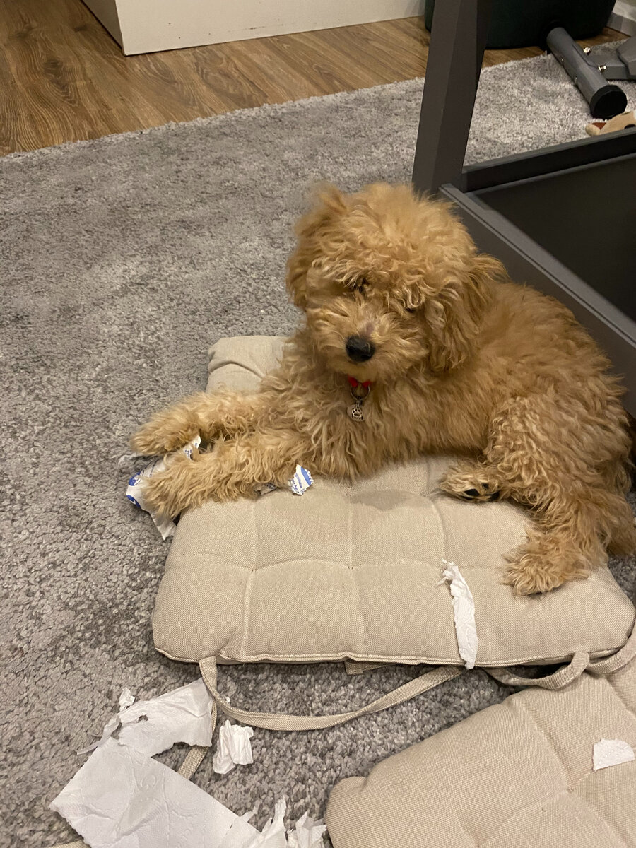 Ноль раскаяния 