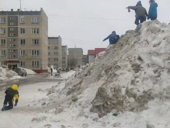     Фото: скриншот с видео, опубликованного на странице ЦУР НСО в ВК