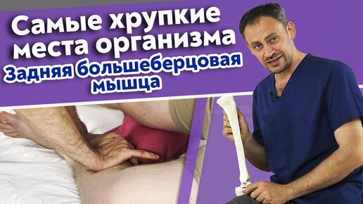 Как сделать самомассаж задней большеберцовой мышцы? Самые хрупкие места организма.