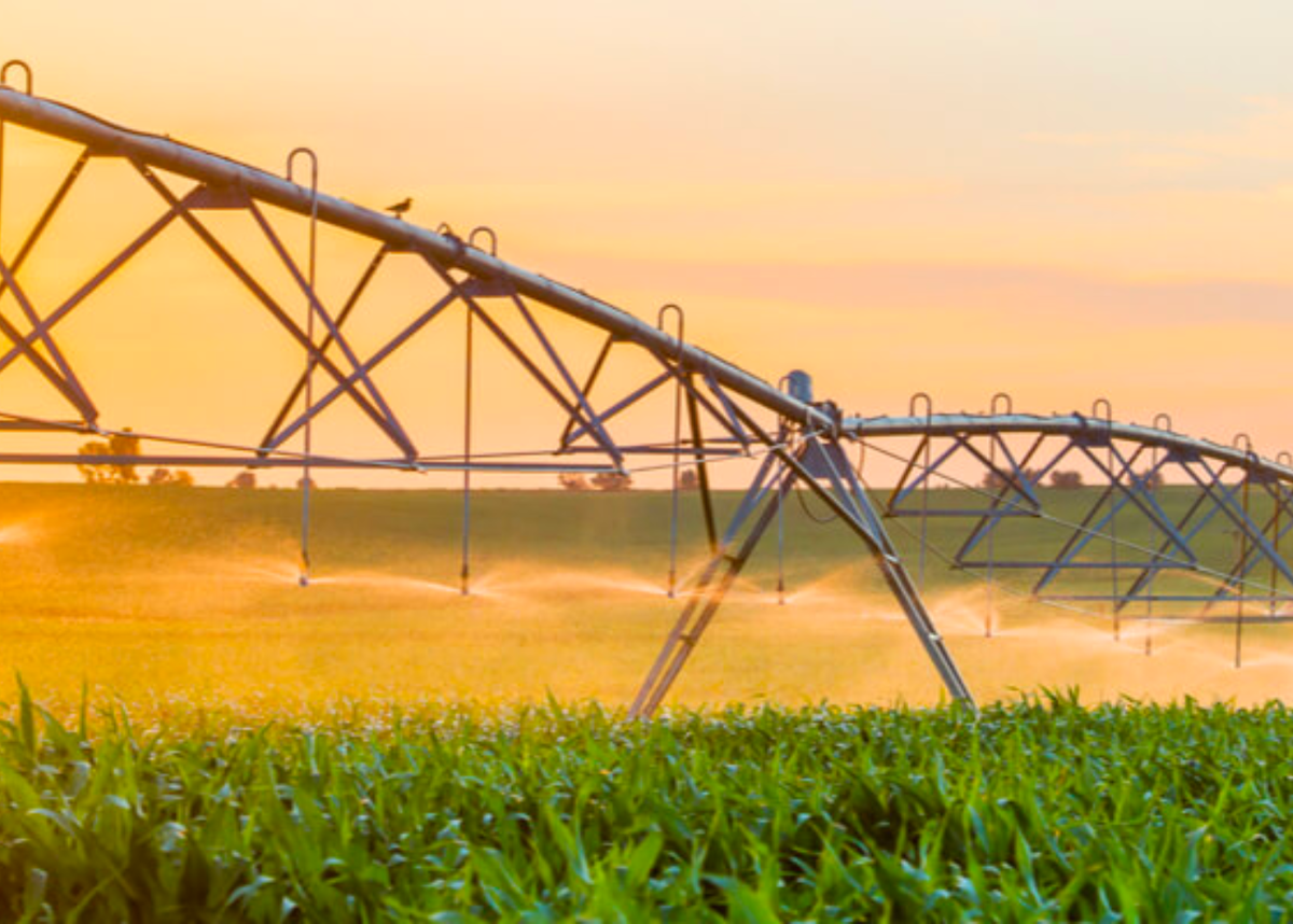 Уникальные проекты автоматического орошения