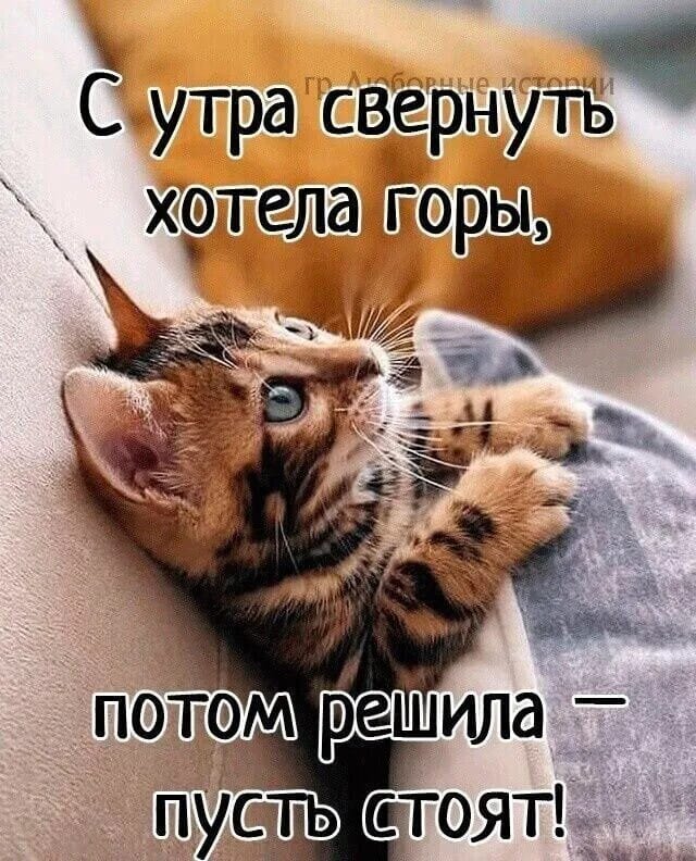 Из инета