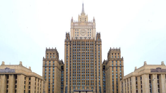    МИД РФ: Россия готовит соглашения об упрощении визового режима с 6 странами Анна Белая