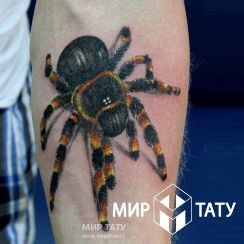 Значение тату паук: в паутине, на плече, на шее и руке, на зоне