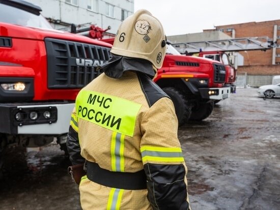     Фото: Густаво Зырянов / МК в Новосибирске