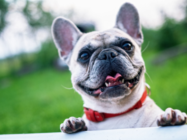 Фото из платной коллекции Canva