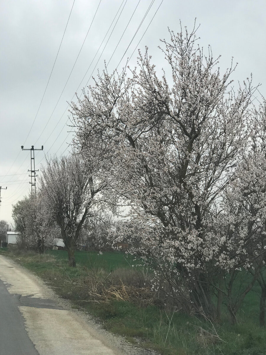     Сначала дорога шла мимо домов, потом дома, а с ними и посёлок закончились