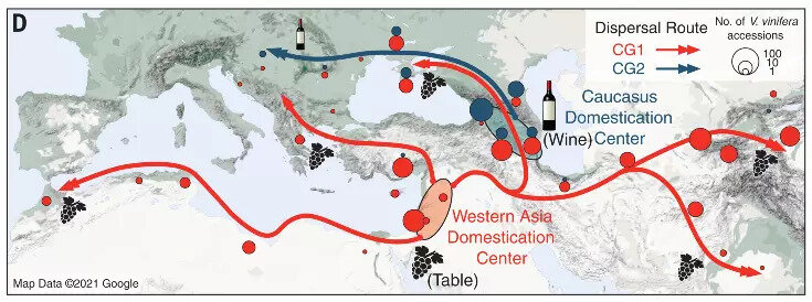   Yang Dong et al. / Science Advances, 2023