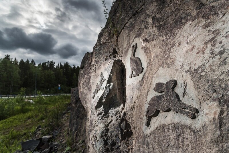 Фото: iloverabbit.ru