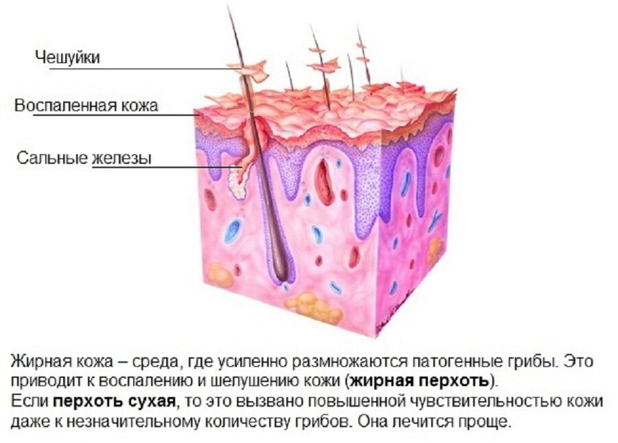Открытый источник.