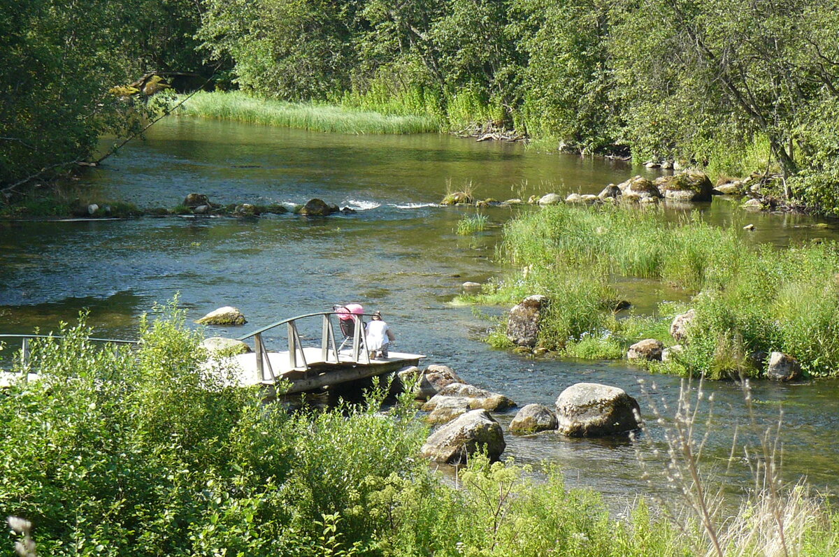 Фото автора для иллюстрации
