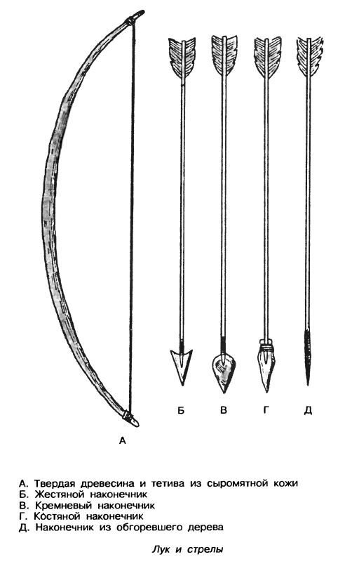 Как сделать лук. Чертеж стрелы для лука. Самодельные стрелы для лука. Как сделать стрелы для лука. Строение стрелы лука.