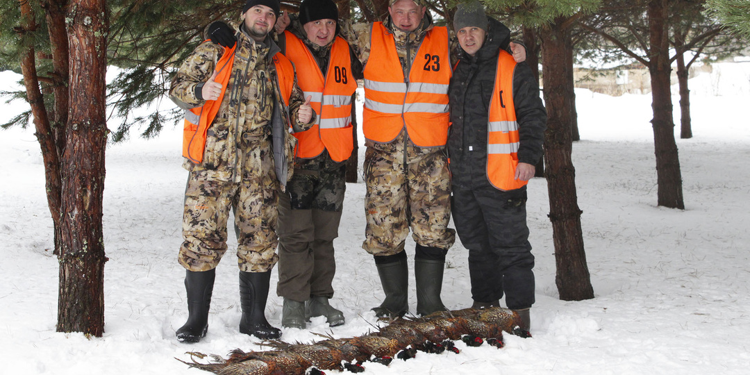 Охота на Фазана.