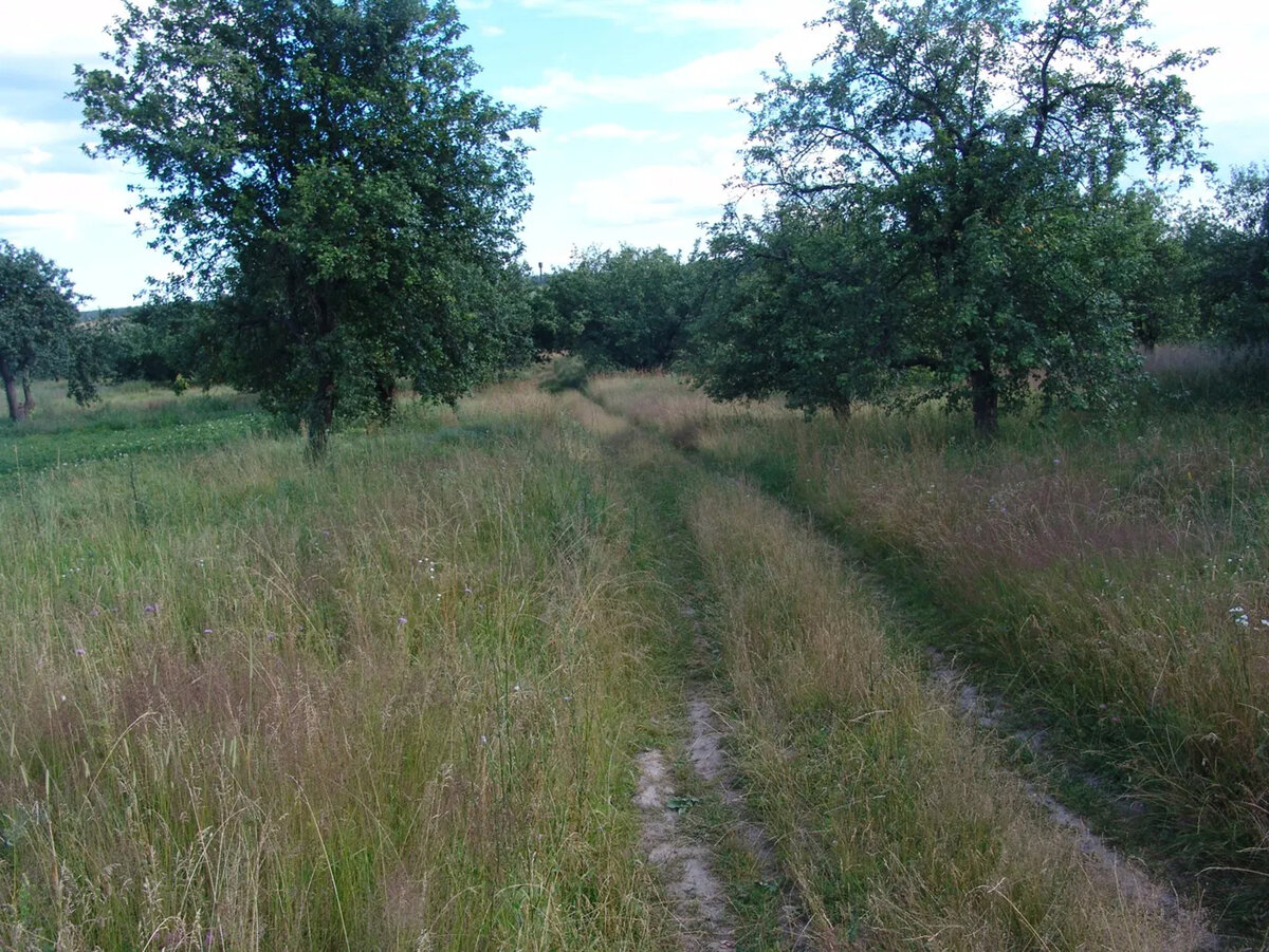 фото: culture.ru