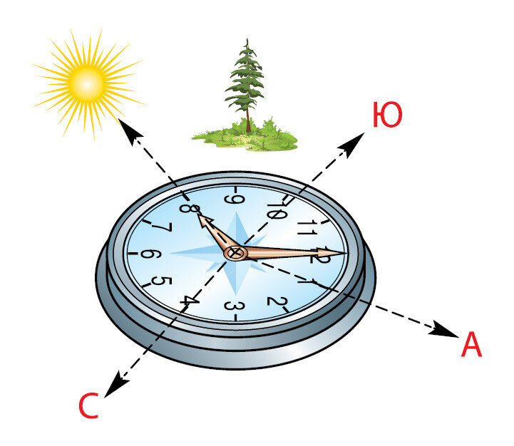 Полдень 3. Определить стороны света. Компас стороны горизонта. Стороны света по компасу. Компас это прибор для определения сторон горизонта.