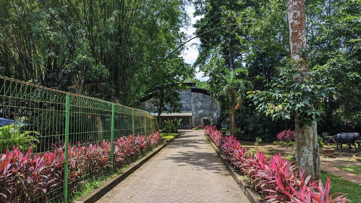 Вход в зону с приматами