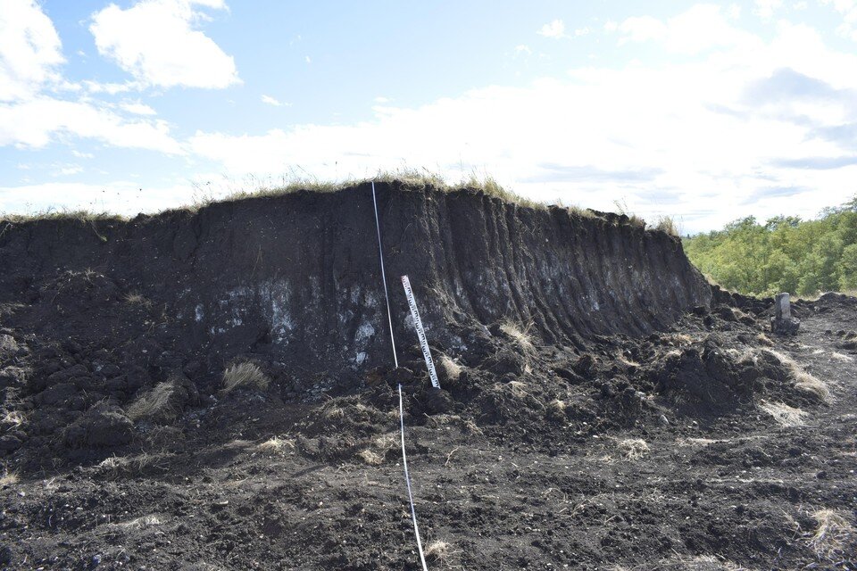     Фото: наследие Кубани