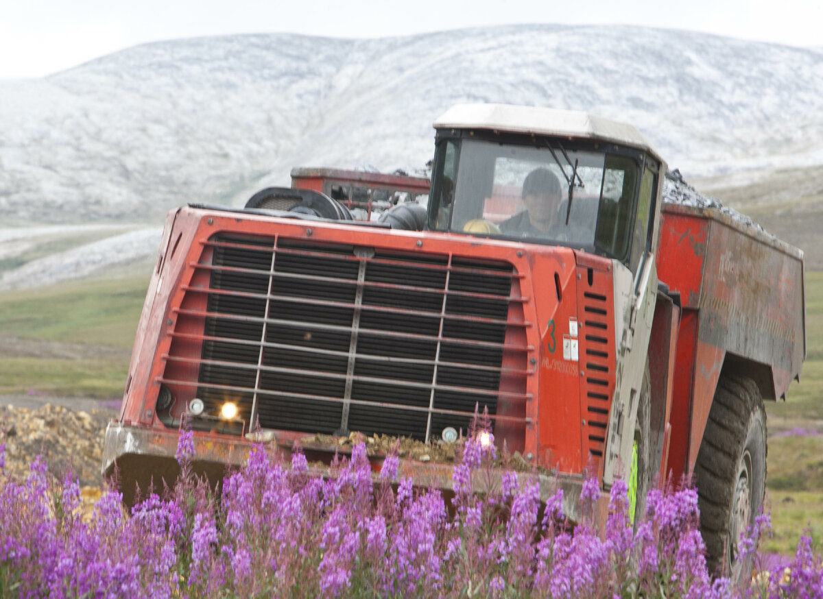 Фото: Serguei Fomine/Russian Look/Globallookpress 