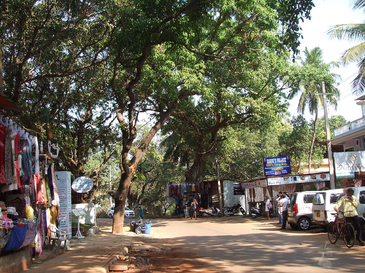 Назри Резорт, Бага, Сев. Гоа