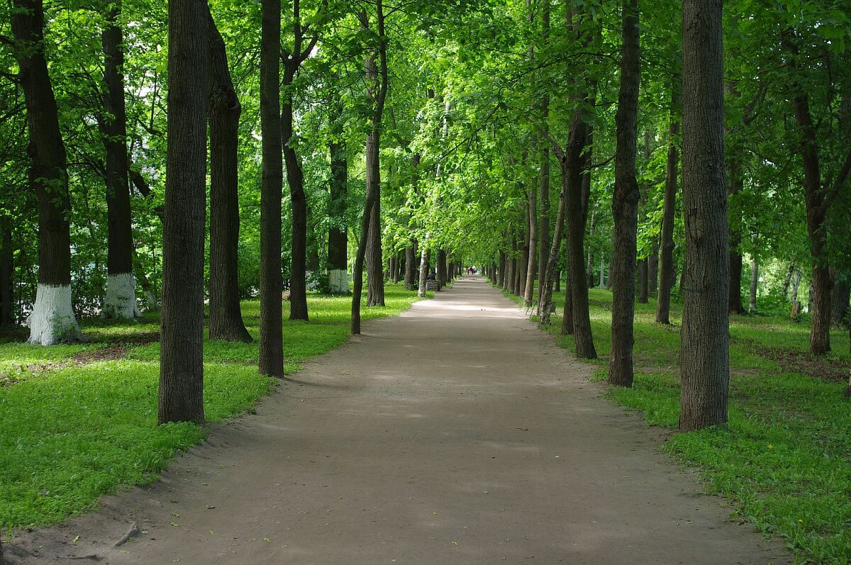 Городской бульвар 