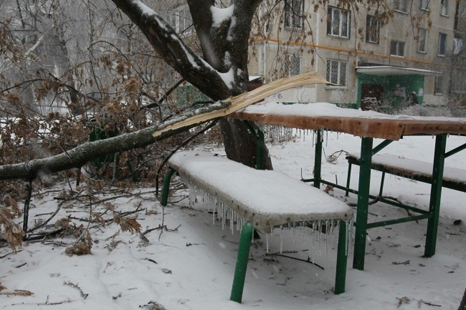     Фото: архив "КП"