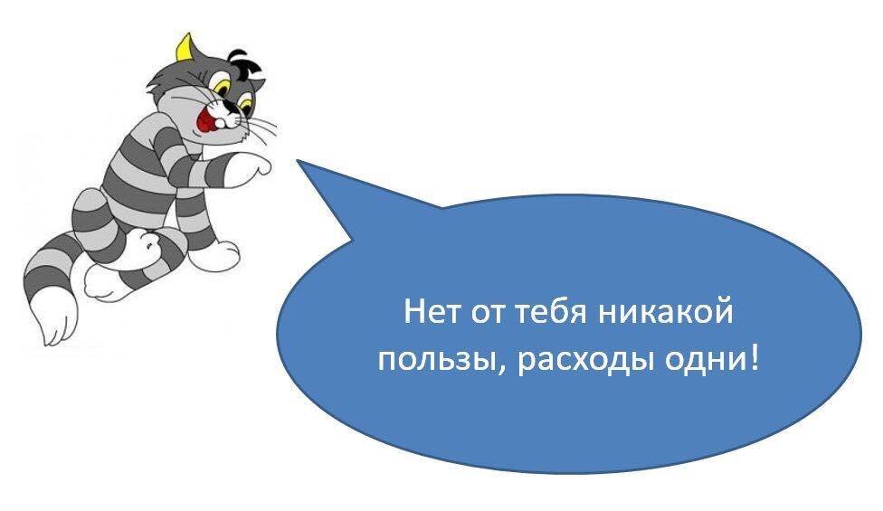 источник Яндекс-картинки