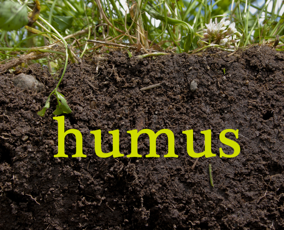 Humus Soil. Что такое гумус почвы. Почва гумус плодородие. Почвы богатые гумусом.