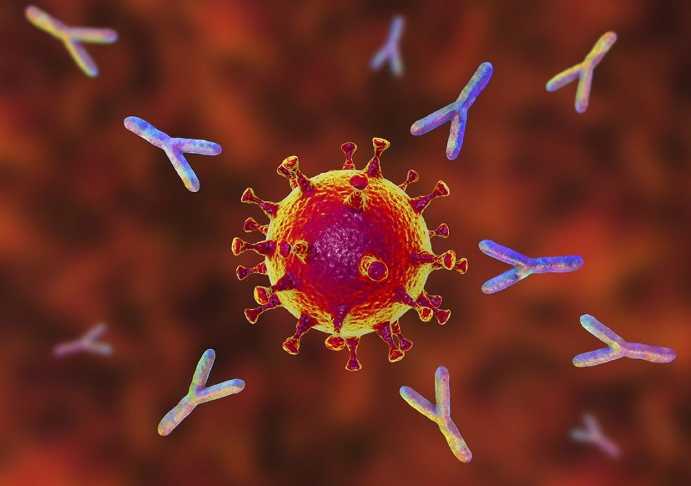 все фото - яндекс-картинки