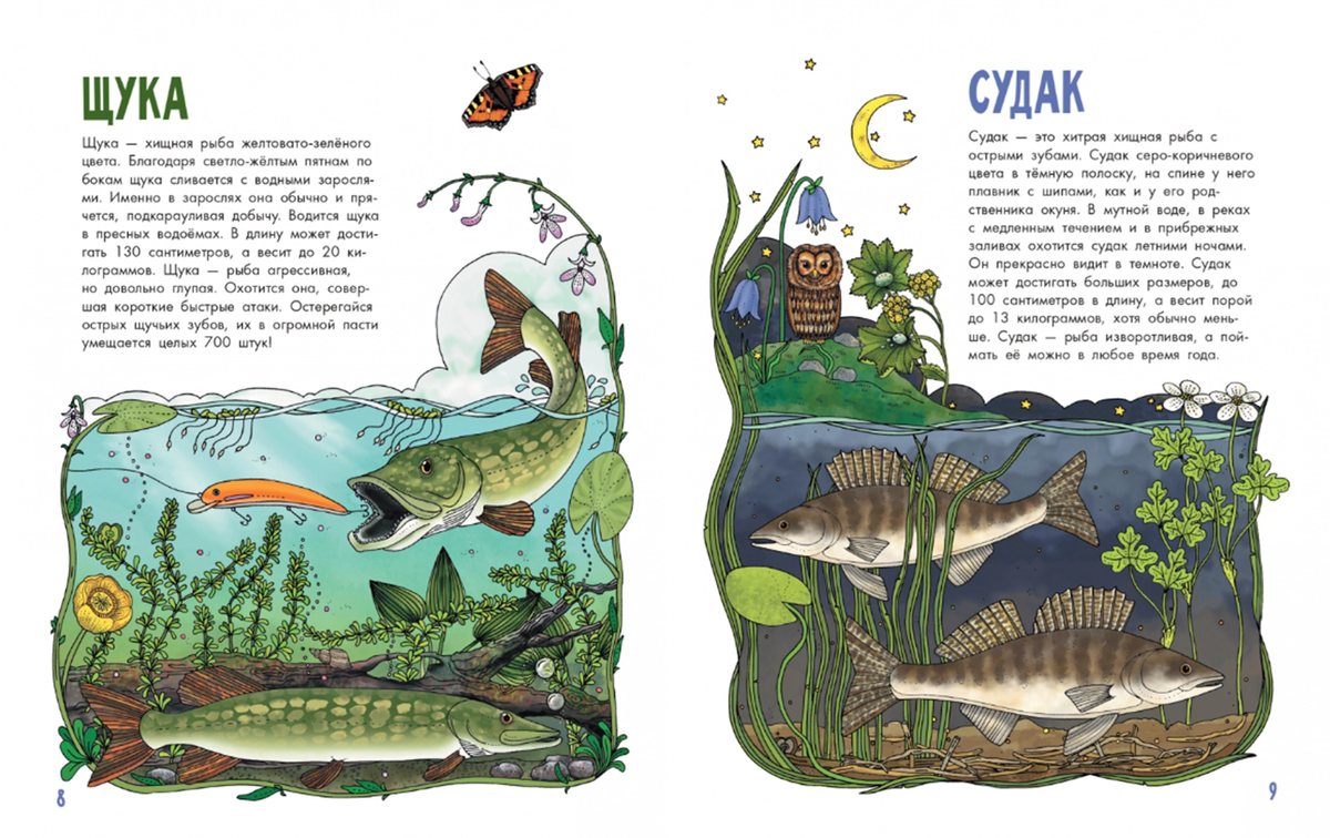 Сказка о золотой рыбке книга. Иллюстрированная энциклопедия рыб. Читать книгу рыбка. Рыба не может читать книгу. Заколдованная рыба.