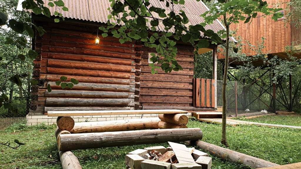 Дома дерево ярославль. Кемпинг на дереве Переславль Залесский. Treehouse Camping Переславль Залесский. Домик на дереве Переславль Залесский. Кемпинг дом на дереве Переславль
