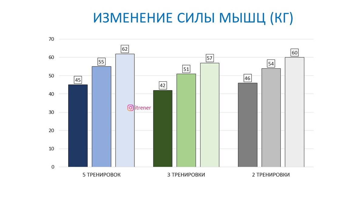 Сколько раз в неделю тренировать мышцы? Научный эксперимент | Василий  Волков | Дзен