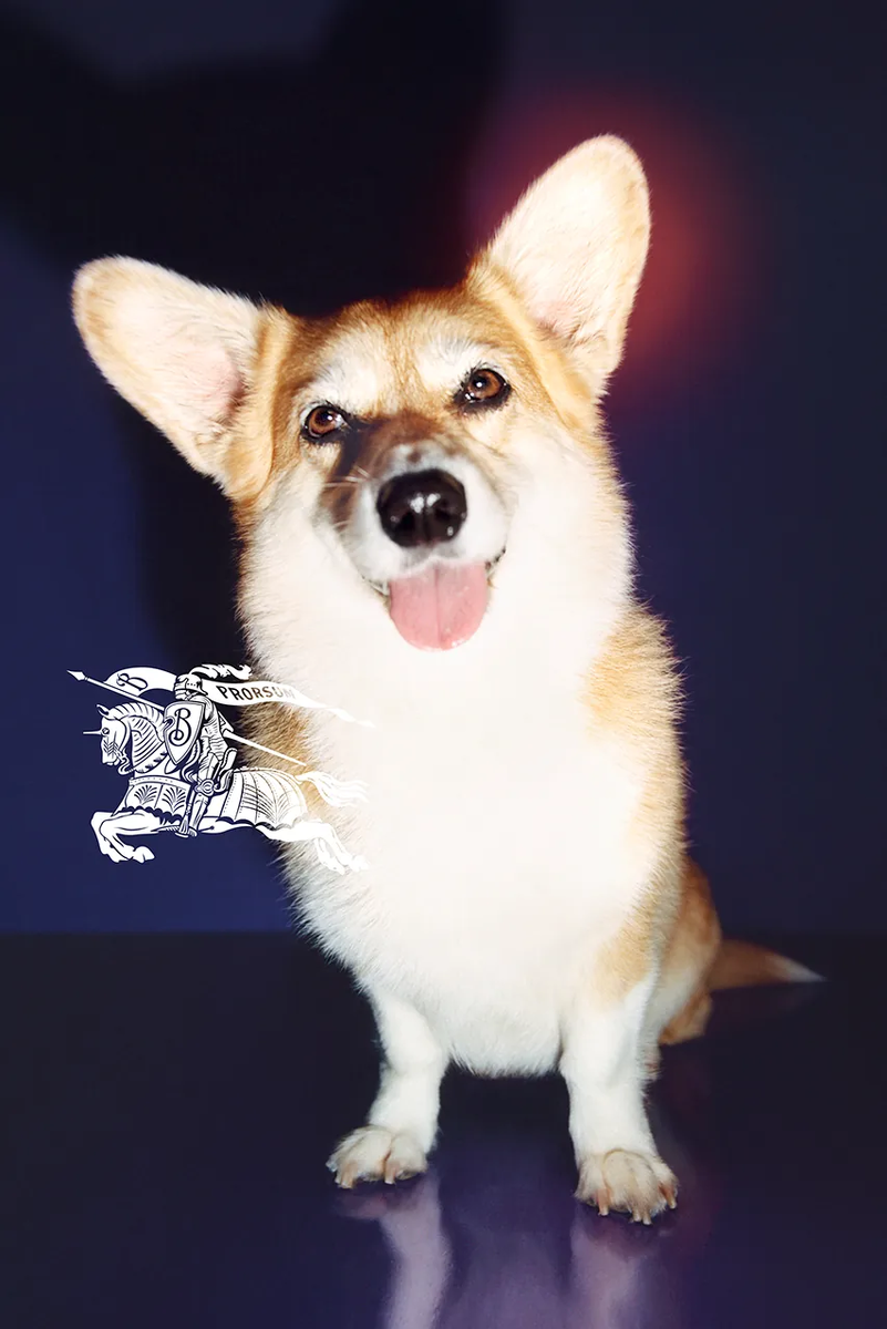    Burberry показал новую кампанию с Джорджией Мэй Джаггер и Соном Хын Мином (фото 2)