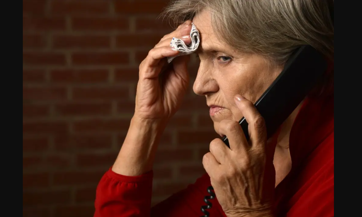 Фото из интернета