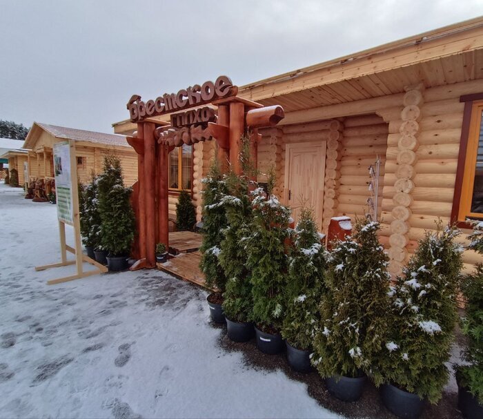 Минлесхоз предлагает деревянные дома под ключ от 55 тысяч рублей ...