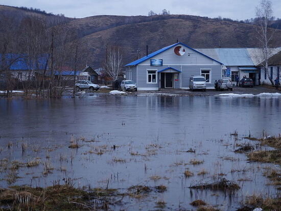     Весеннее половодье регулярно доставляет проблемы Алтайскому краю. Фото: Павел Селиверстов