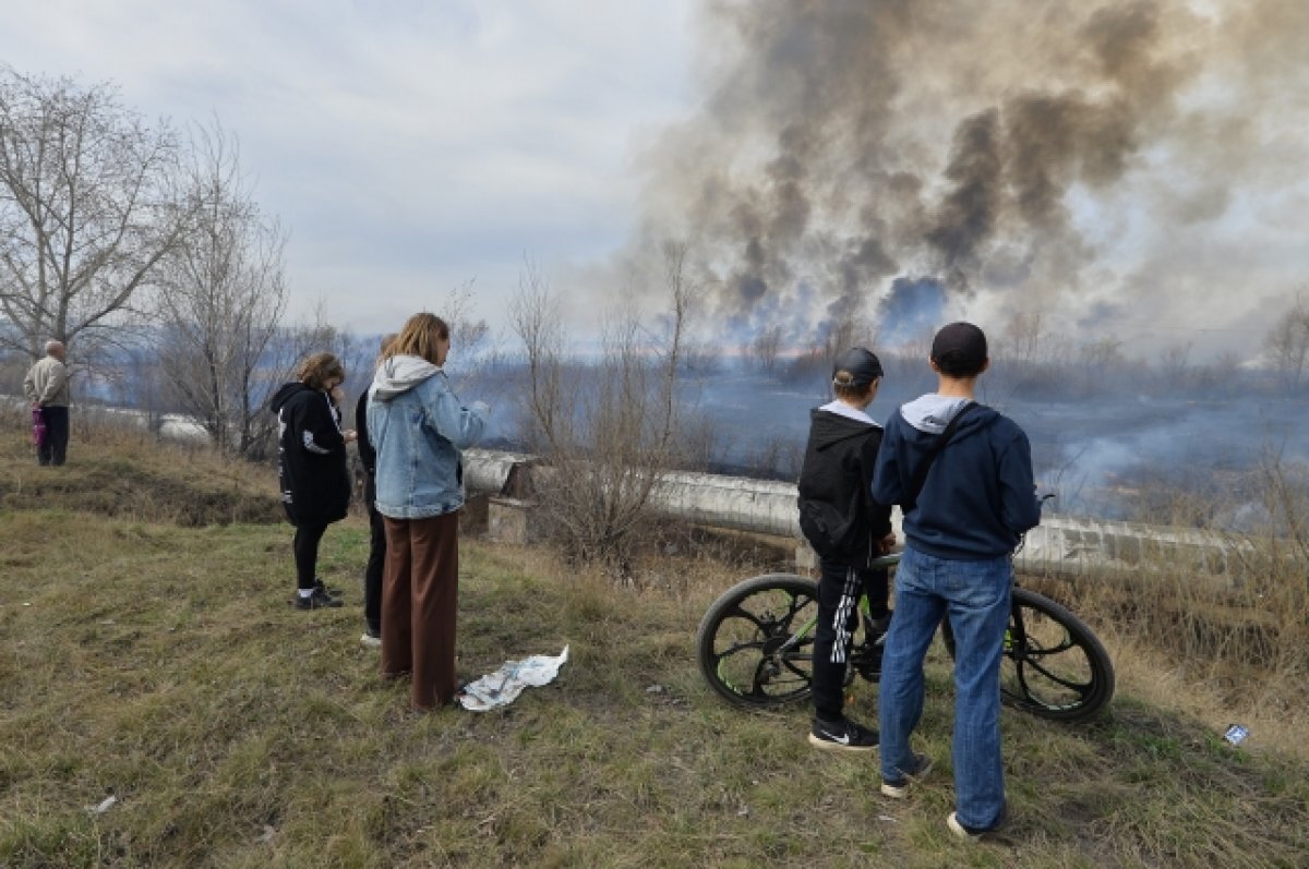    Омич Владимир Лифантьев попал в Общественную палату РФ