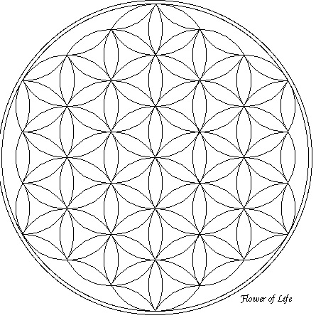 Цветок Жизни. Из свободных источников