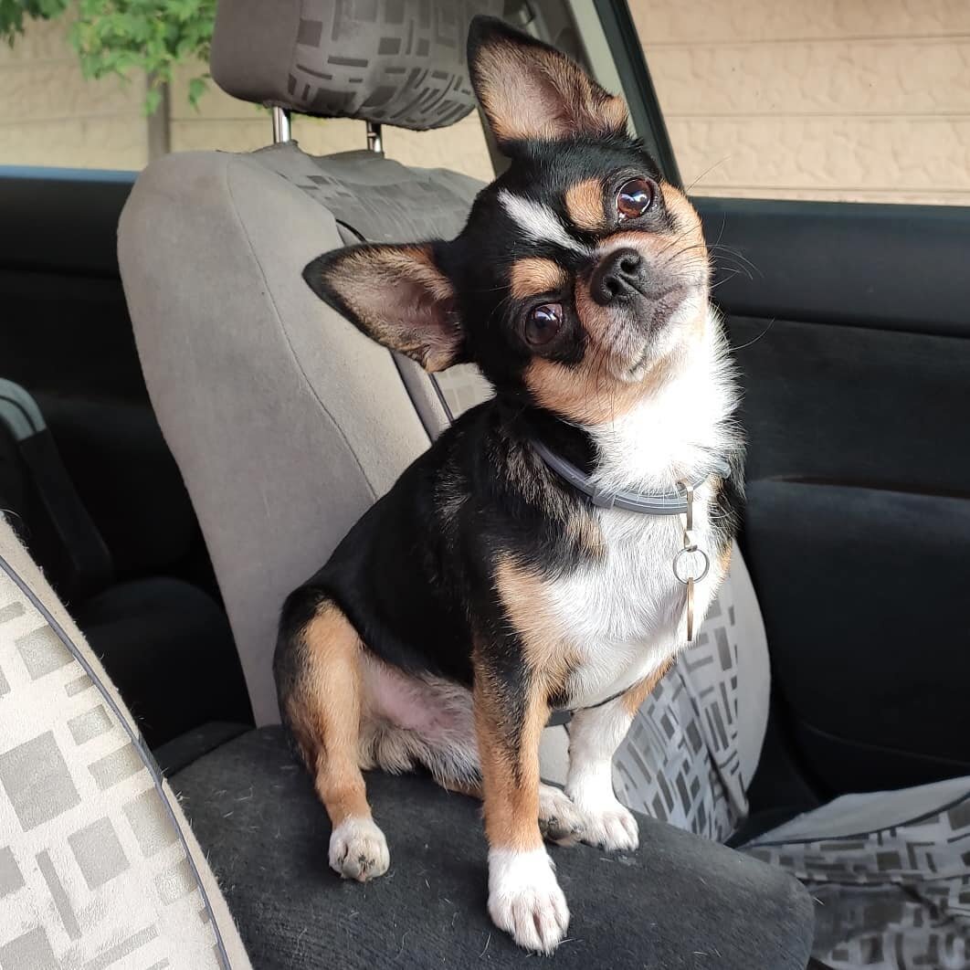 мать, давай уже прыгай и погнали